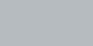 Gray-2125@2x