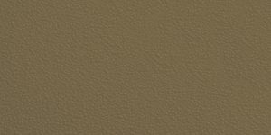 olive-92232x