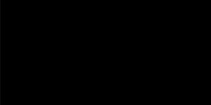 negro-20002x