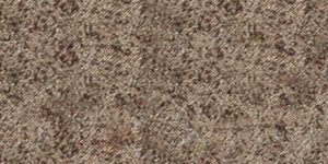 bronce azotado por el viento-92922x