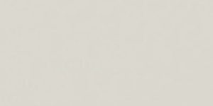 silvergray-30002x